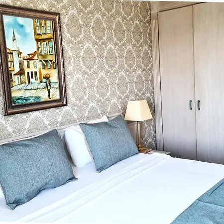 X Life 15 - Adult 4*