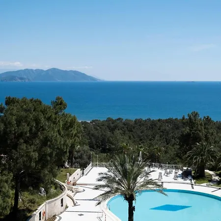 X Life 15 - Adult Hotell