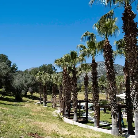 Hotell X Life 15 - Adult 5*